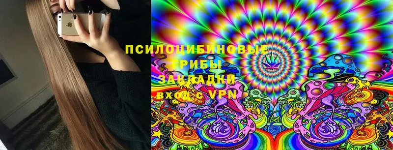 дарнет шоп  omg ССЫЛКА  Галлюциногенные грибы Cubensis  Пикалёво 